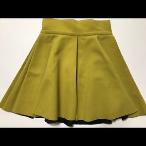 Flared Skirt